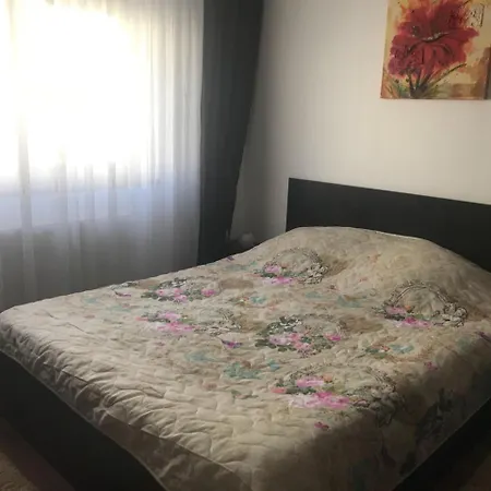 Mihai Viteazul 40 Apartament Брашов