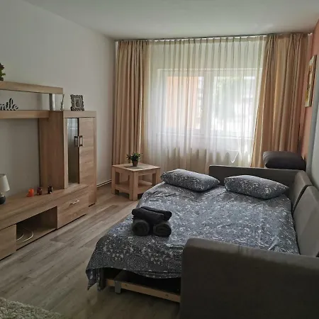 Mihai Viteazul 40 Apartament *